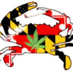 CRABS N CANNABIS logo